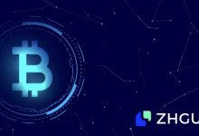 globalisation-and-localisation:-the-strategic-ecosystem-partnerships-of-zhgui-exchange